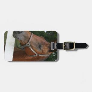Sweet Chestnut Horse Luggage Tag