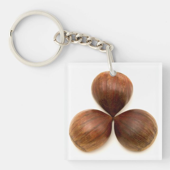 Sweet chestnuts fruits key ring (Front)
