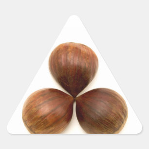 Sweet chestnuts fruits triangle sticker