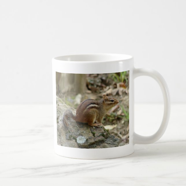 Sweet Chipmunk Hot Springs National Park Gifts Coffee Mug (Right)