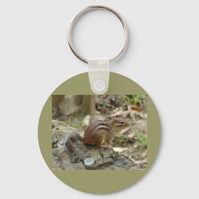 Sweet Chipmunk Hot Springs National Park Gifts Key Ring (Front)