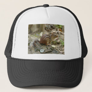 Sweet Chipmunk Hot Springs National Park Gifts Trucker Hat