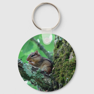 Sweet Chipmunk in a Tree Apparel and Gifts Key Ring