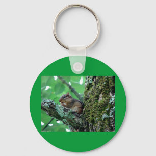 Sweet Chipmunk in a Tree Apparel and Gifts Key Ring