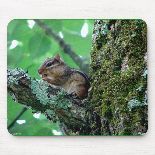 Sweet Chipmunk in a Tree Apparel and Gifts Mouse Mat (Front)