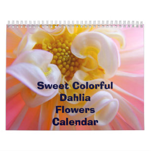 Sweet Colourful Dahlia Flowers Calendar Florals