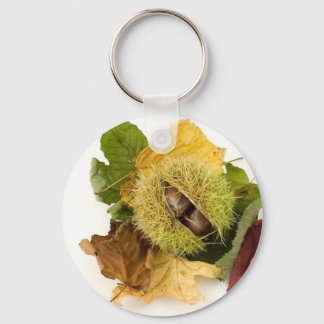 Sweet Conker With Leaves Key Ring