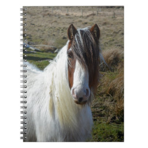 Sweet Connemera Pony Notebook