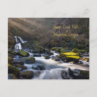 Sweet Creek Falls Oregon Postcard