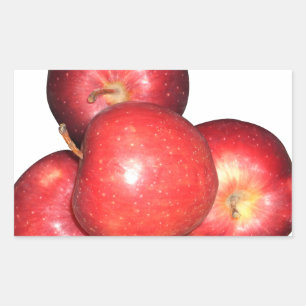 Sweet & Crisp Red Apples - Organic Fruit Print Rectangular Sticker