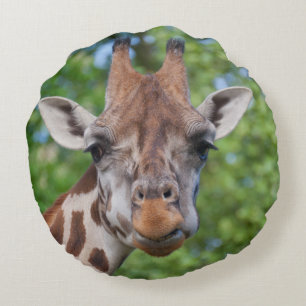 Sweet Curios Giraffe Round Cushion