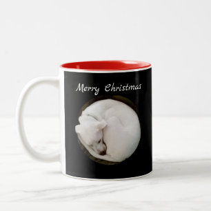 Sweet Curled Up White Dog Peaceful Christmas Two-Tone Coffee Mug