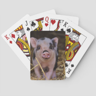 Sweet Cute Pig Playing Cards
