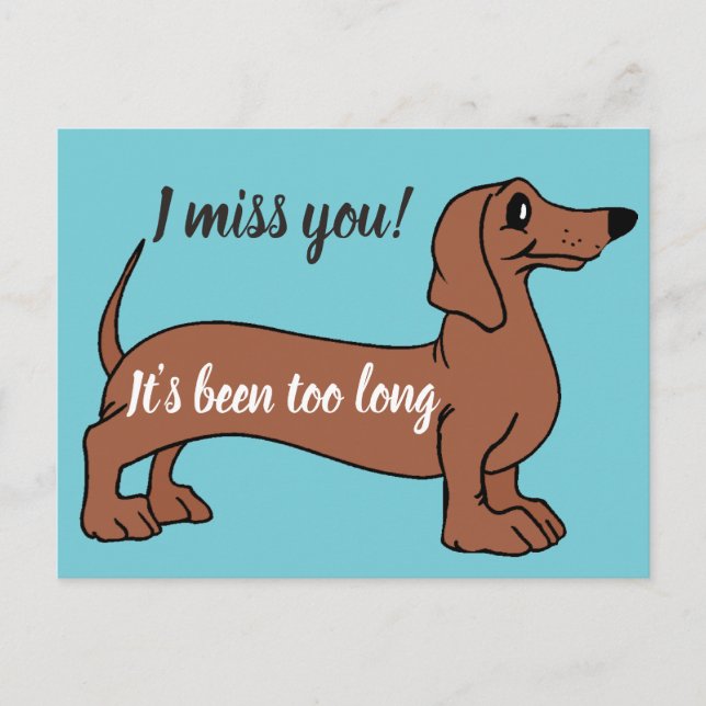 Sweet dachshund I miss you, its been too long card (Front)