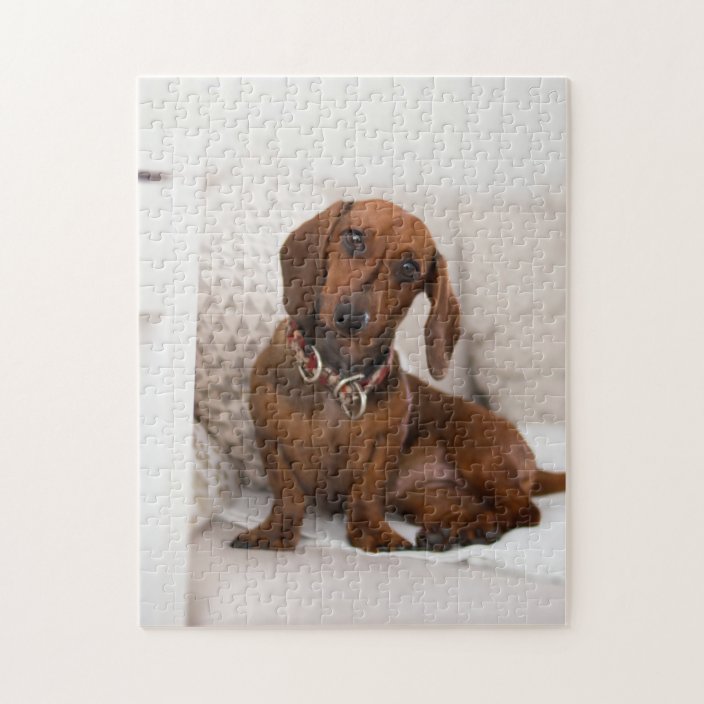 Sweet Dachshund Jigsaw Puzzle Zazzle.co.uk