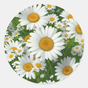 Sweet daisy pattern white floral greenery classic round sticker