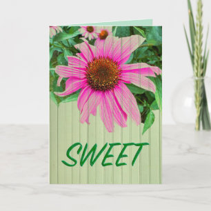 SWEET daisy purple pink coneflower garden note  Card