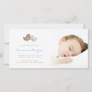Sweet Damask Chicks Baby Boy Birth Announcement