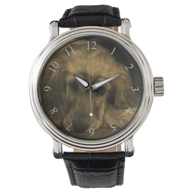 Sweet Dog - Golden Retriever in Sepia Tones Watch (Front)