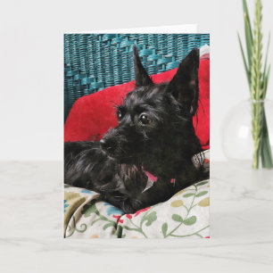 Sweet Dog Greeting Card