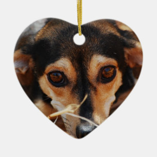 Sweet dog laying in hay ceramic tree decoration