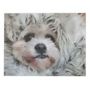 Sweet dog notepad