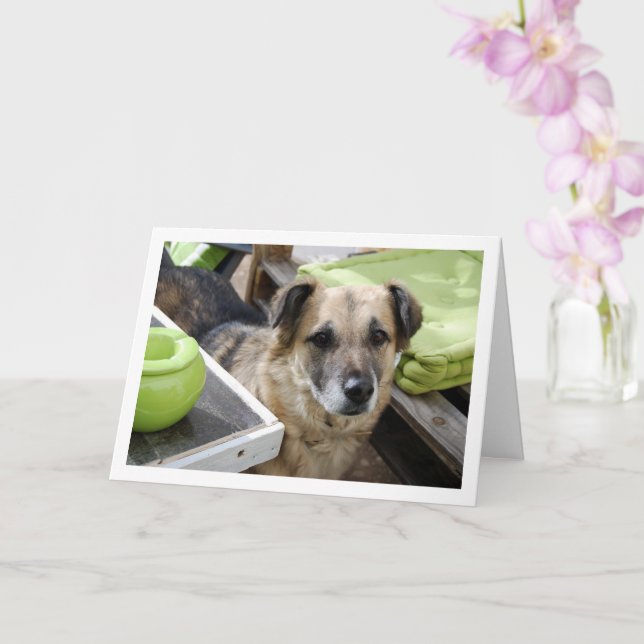 Sweet Dog Portrait Card (Orchid)
