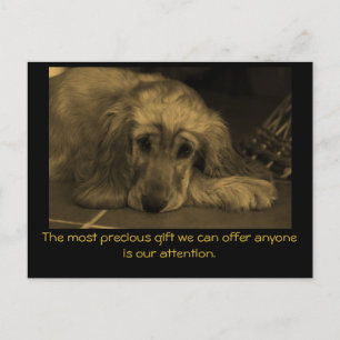 Sweet Dog with Inspirational Quote. Postcard