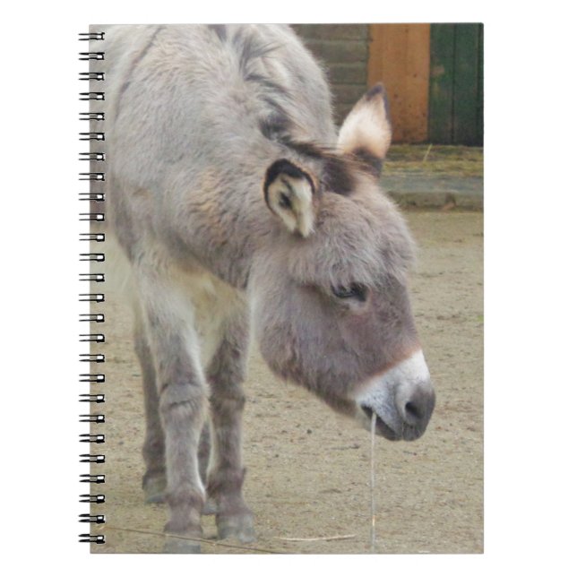 Sweet Donkey, Animal Grey, Horse Family Notebook (Front)