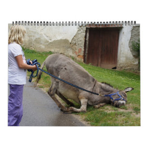 Sweet Donkeys All Year 2025 Calendar