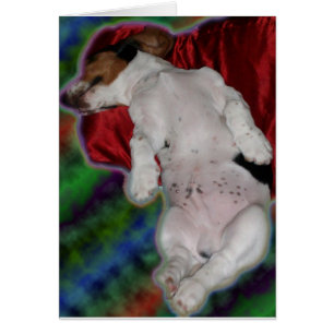 sweet dreams Basset card