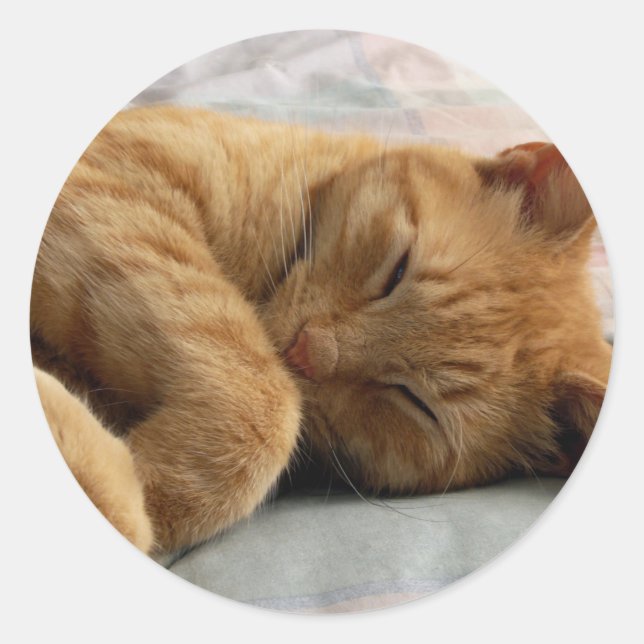 Sweet Dreams Classic Round Sticker (Front)