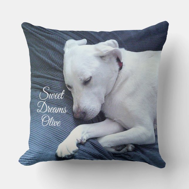 Sweet Dreams Cute White Labrador Retriever Mix Dog Cushion (Front)