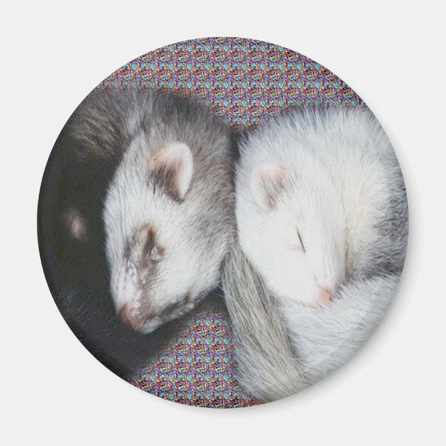 Sweet Dreams Ferrets Magnet (Front)