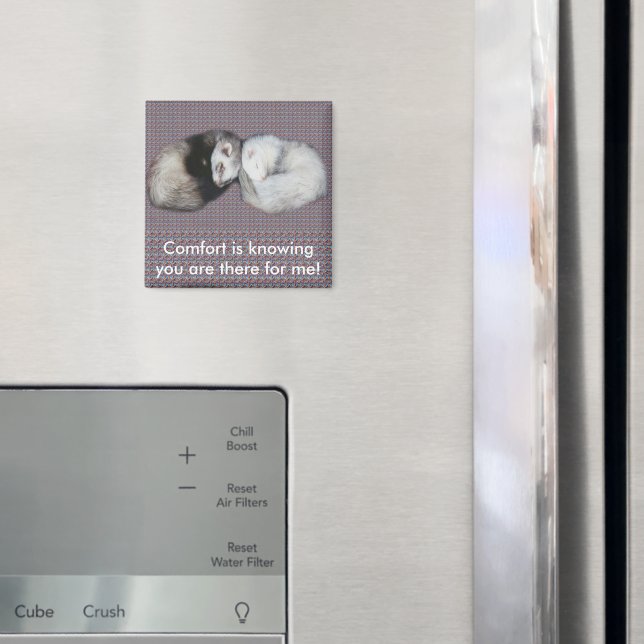 Sweet Dreams Ferrets Magnet (In Situ (Fridge))