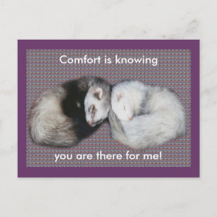 Sweet Dreams Ferrets Postcard