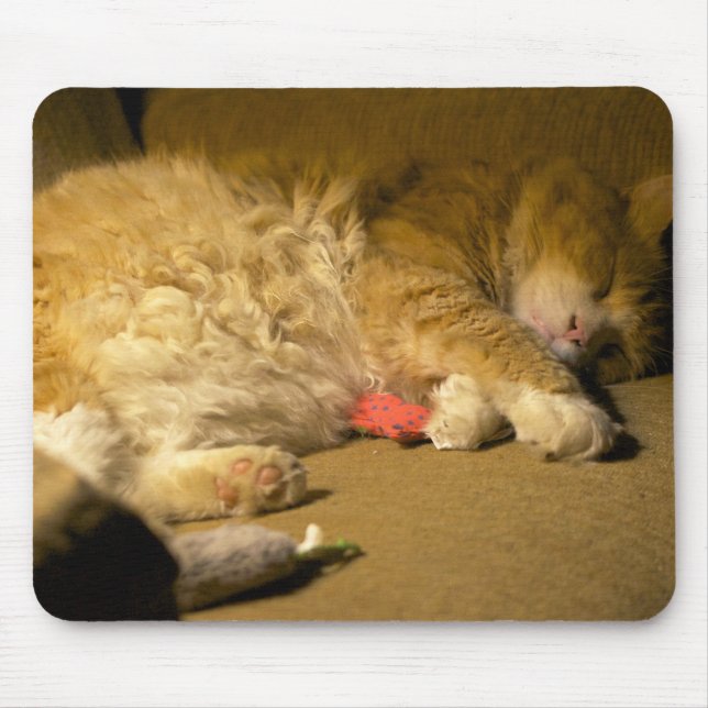 Sweet Dreams, Kitty Cat Mouse Mat (Front)