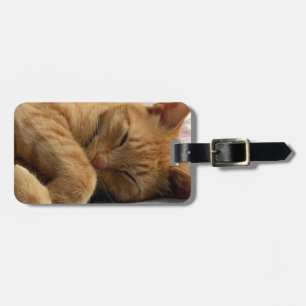 Sweet Dreams Luggage Tag