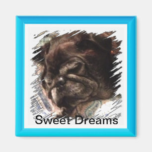 Sweet Dreams Magnet
