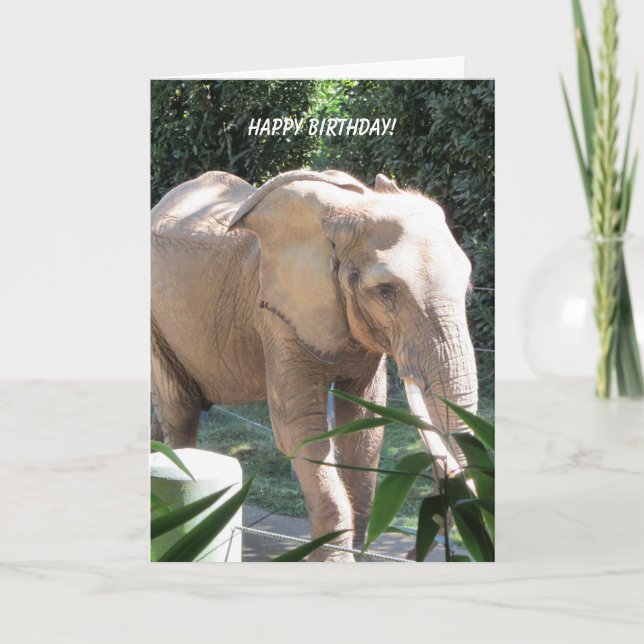 Sweet Elephant Birthday Wishes Card (Front)