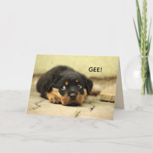 SWEET FACE GET WELL CARD