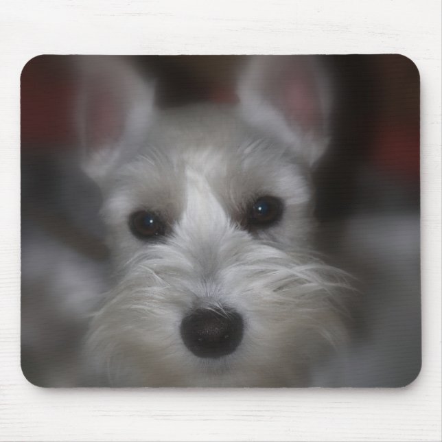 Sweet Face White Schnauzer Puppy Mouse Mat (Front)