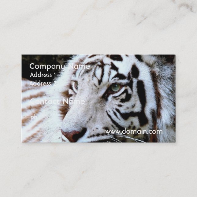 Sweet Faced White Tiger Business Card (Front)