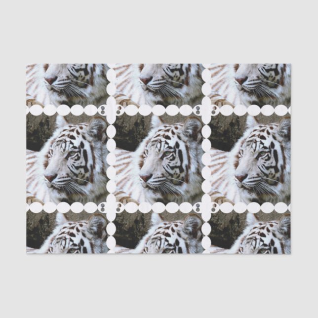 Sweet Faced White Tiger Tissue Paper (Front)