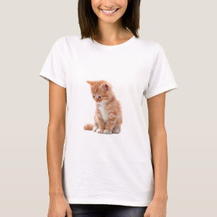 Sweet Fluffy Ginger Tabby Kitten Women T-Shirt