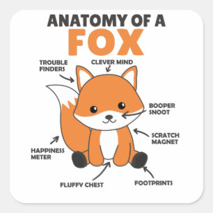 Sweet Fox Explanation Anatomy Of Fox Square Sticker