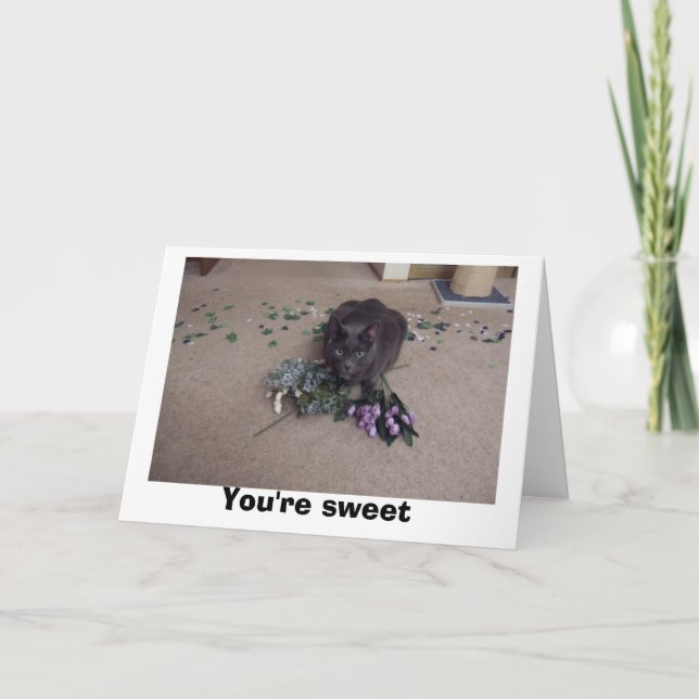 Sweet Friend Thank You Card (Front)