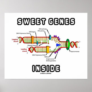 Sweet Genes Inside DNA Replication Humour Poster