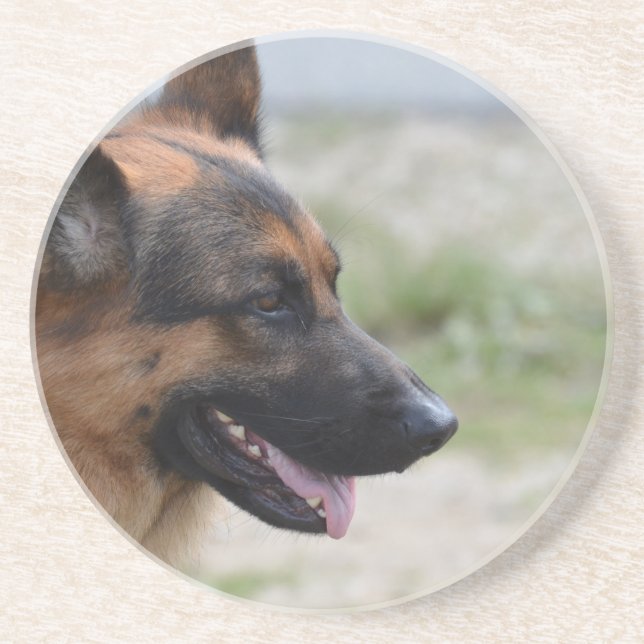 Sweet German Shepherd Dog Coaster (Front)