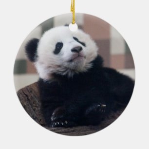 Sweet Giant Panda Baby Ceramic Tree Decoration